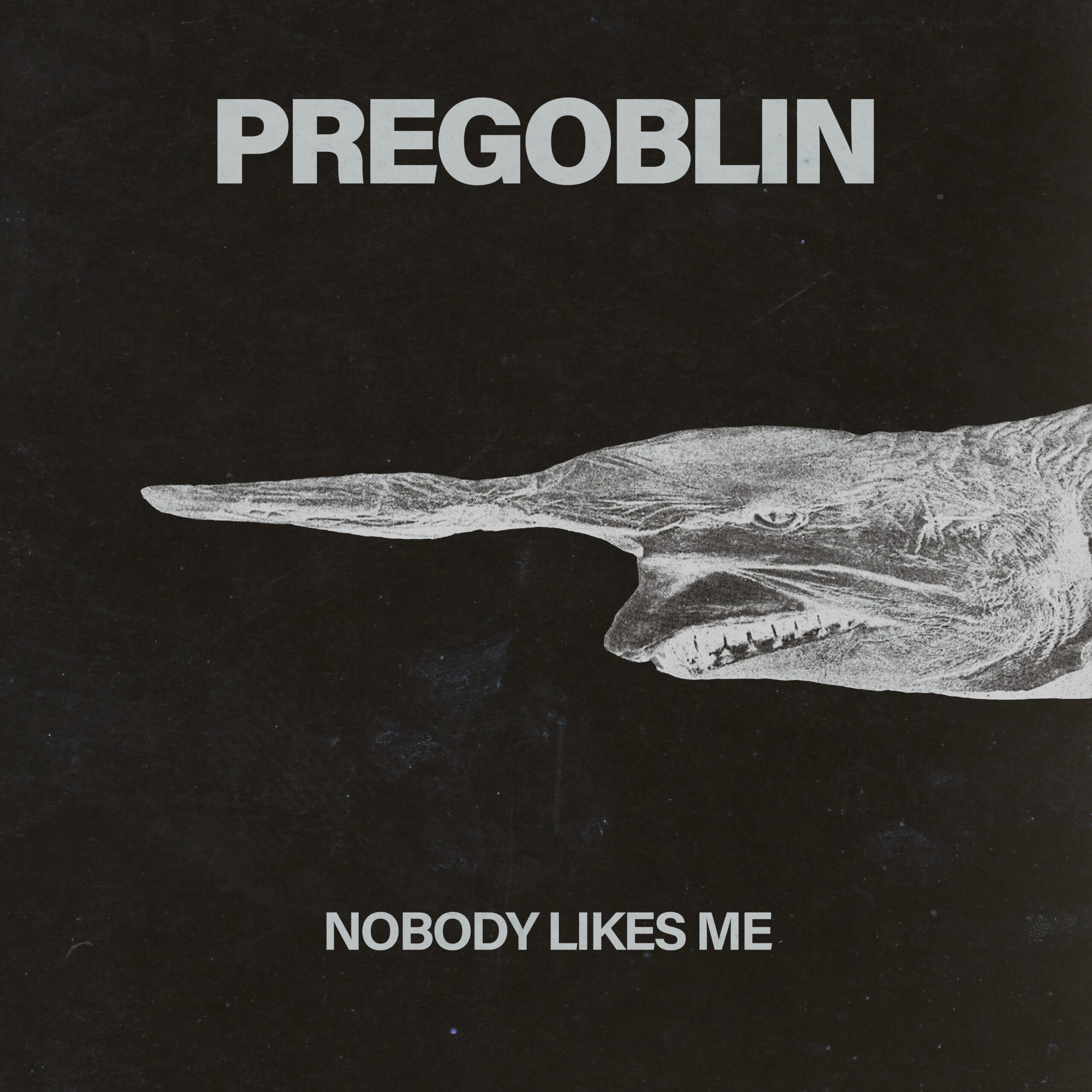 PREGOBLIN SHARE BABii ‘REWORK’ ON THE BACK OF THE LIBERTINES SUPPORT