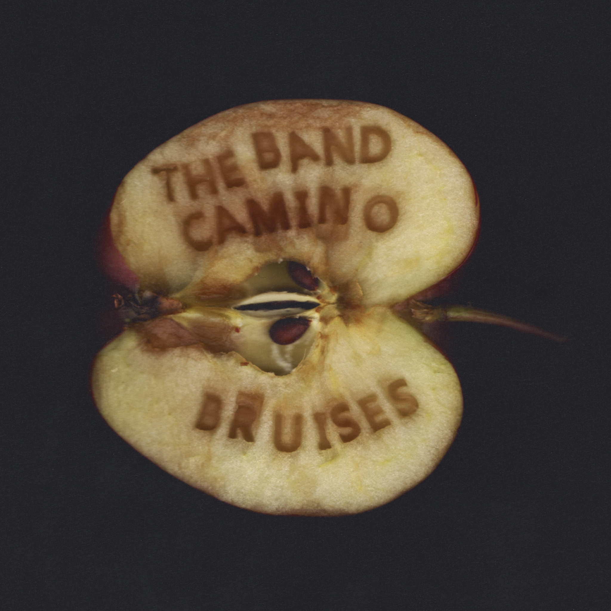 NASHVILLE TRIO ‘The Band CAMINO’ DROP SURPRISE SUMMER SOUNDTRACK ‘BRUISES’