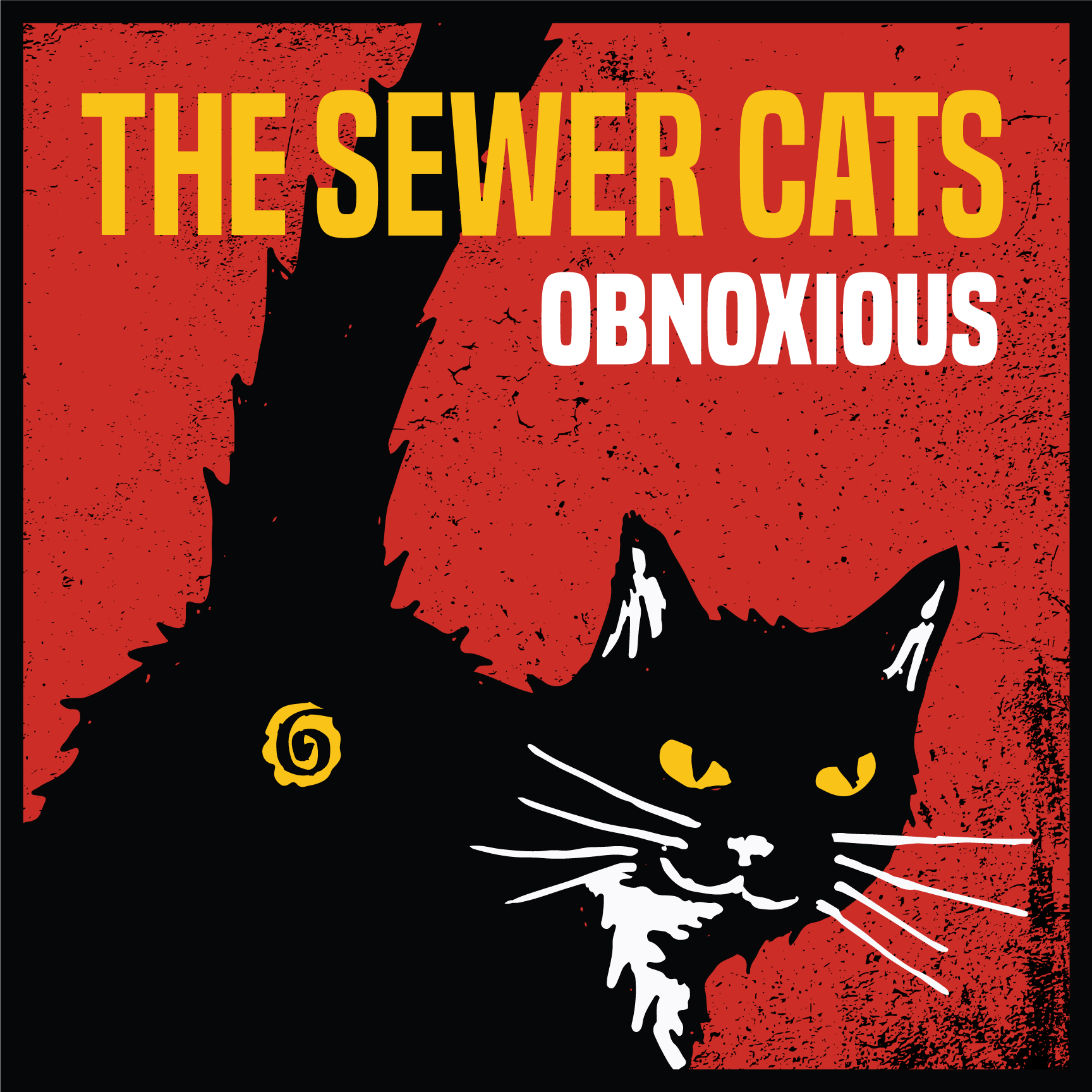 BIG PUSSY ENERGY: THE SEWER CATS ARE STILL MAD AT THE WORLD ON ALBUM NUMBER TWO