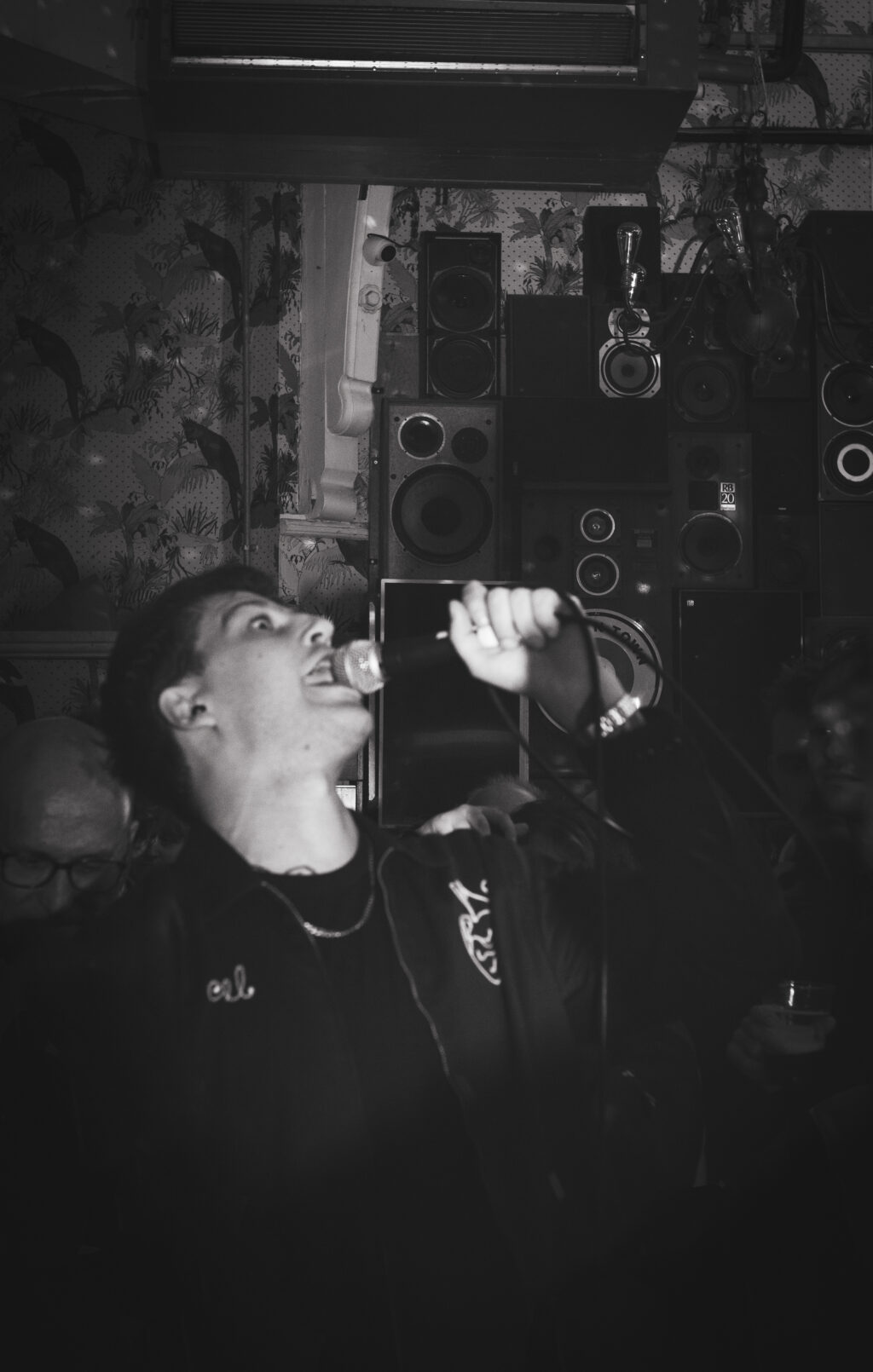 Crows_DeafInstitute_Oct2024_Lucy_McLachlan_BW8