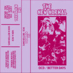 The New Normal: A Fiery Brace Of Tunes From Up And Coming Belfast Punks