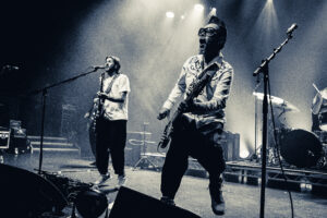 Feeder (3 of 12)